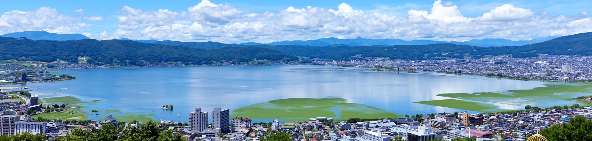 おすすめ求人情報
