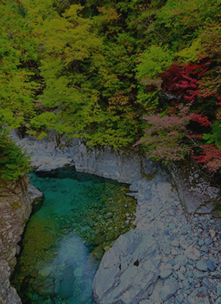 中部エリア