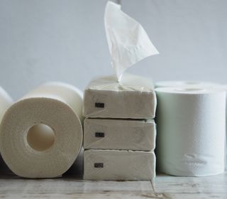 紙パルプ製品及び紙加工製品の製造販売を行う国内大手の総合製紙メーカーです。