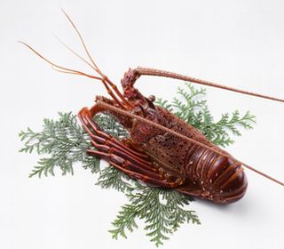 豊かな自然環境に恵まれる伊豆の地で育まれた食材、 下田港で水揚げされる新鮮な魚介、旬の野菜まどを提供致します。