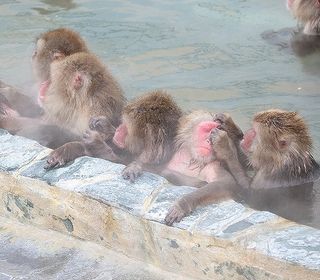 歴史に触れる宿です。 一歩足を踏みこめば日頃の喧騒から離れくつろぎの空間へ！