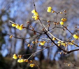 四季折々の美しい自然に囲まれた閑静な落ち着いた佇まいの老人ホームでの調理業務です。