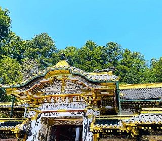 高貴な香りと万線の水々しさに包まれた、優雅なひとときを味わえるリゾートです。