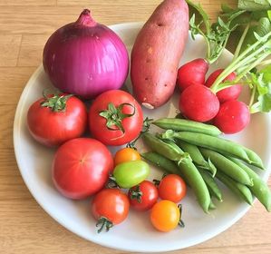 標高1,130メートルの北軽井沢にある高原リゾート。ゆったりとした客室、窓の外には豊かな風景が広がります。